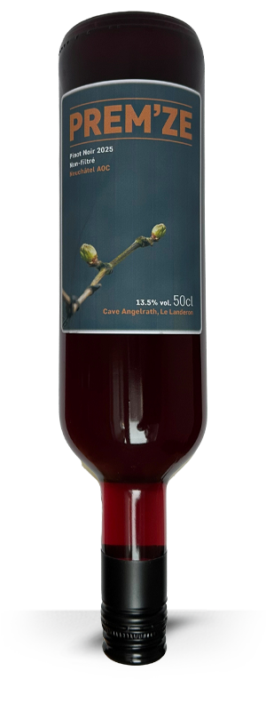 Pinot Noir NON-FILTRÉ